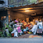 hoarding cleanup near me